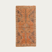 Toby Carpet 1'7" x 3'1"