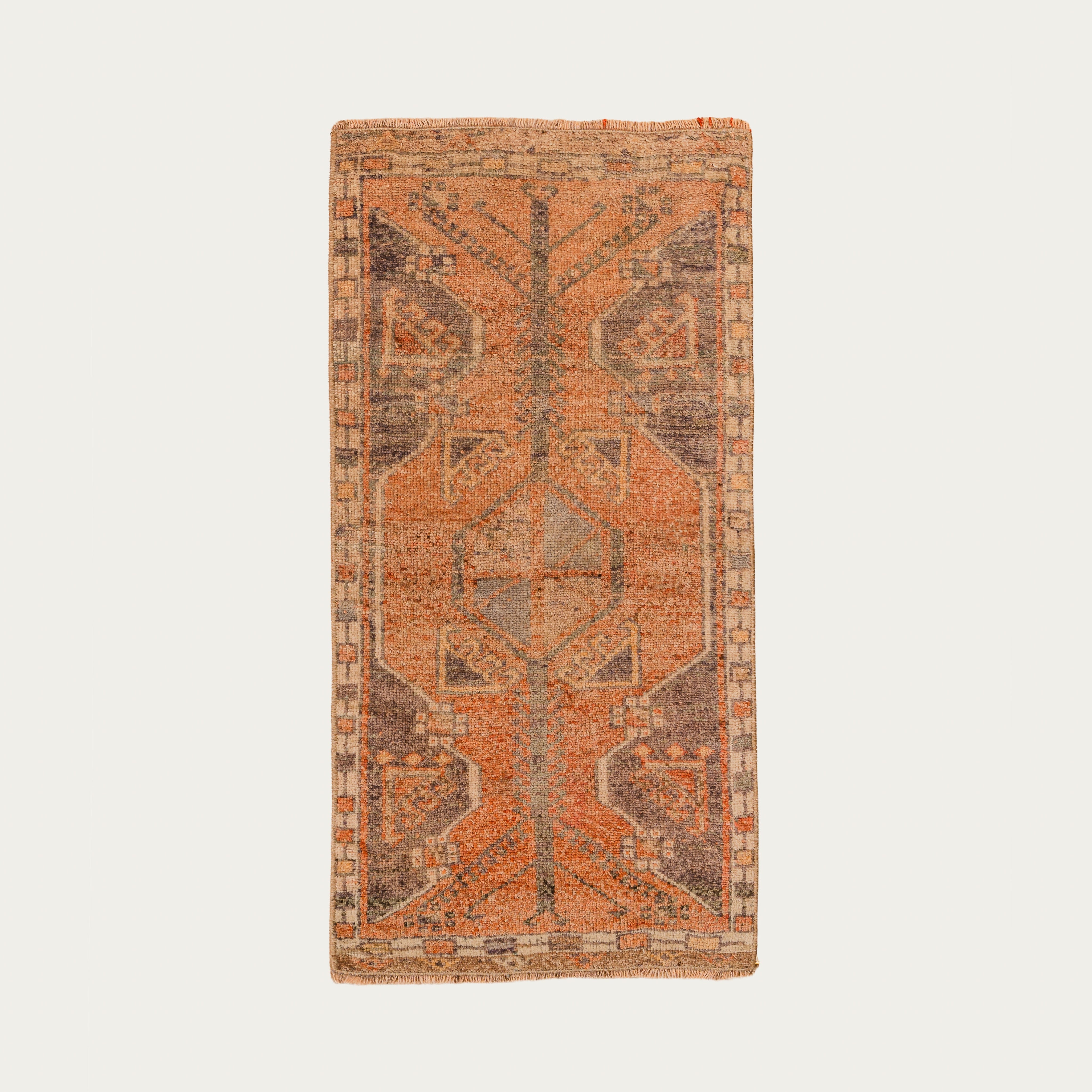 Toby Carpet 1'7" x 3'1"