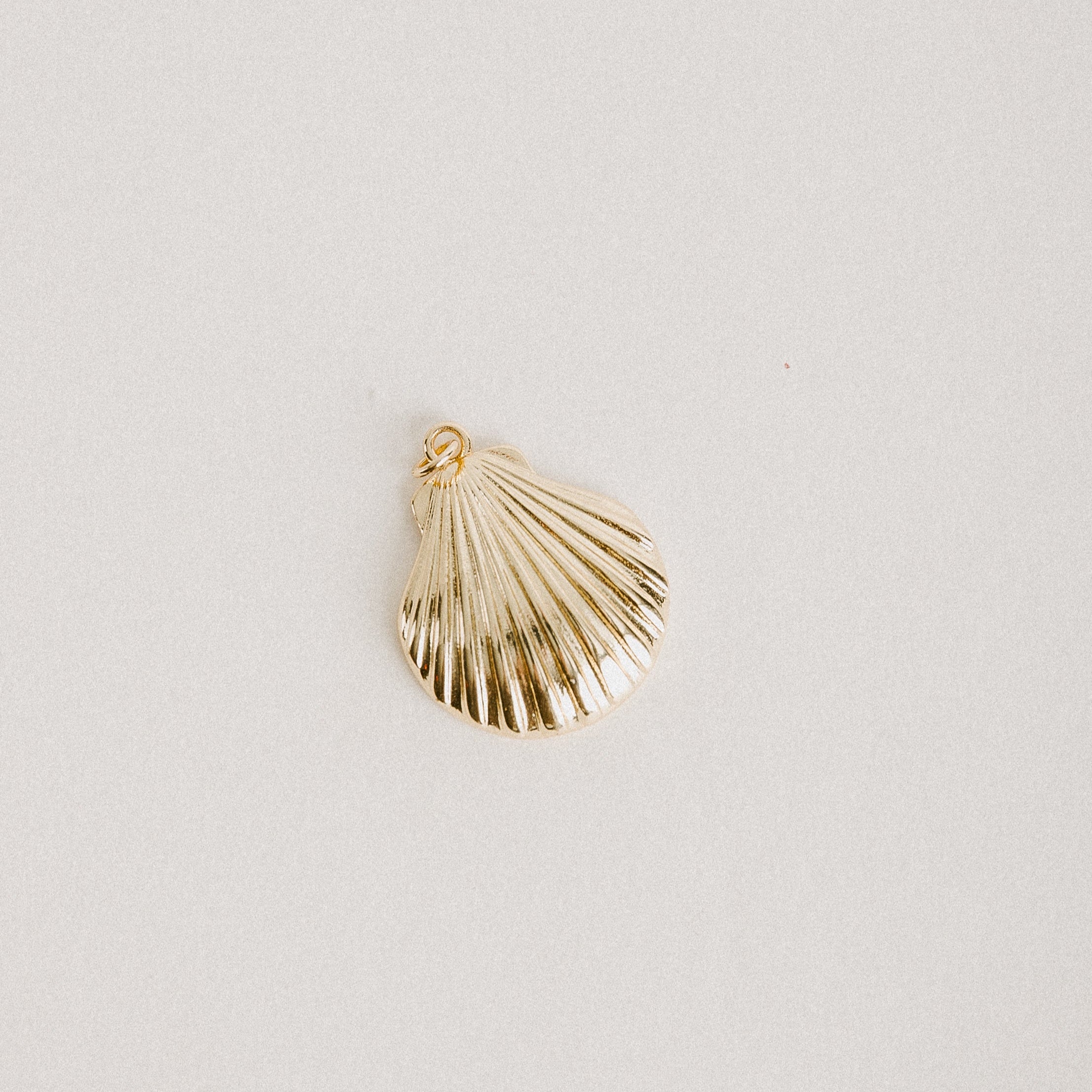 Seashell Charm