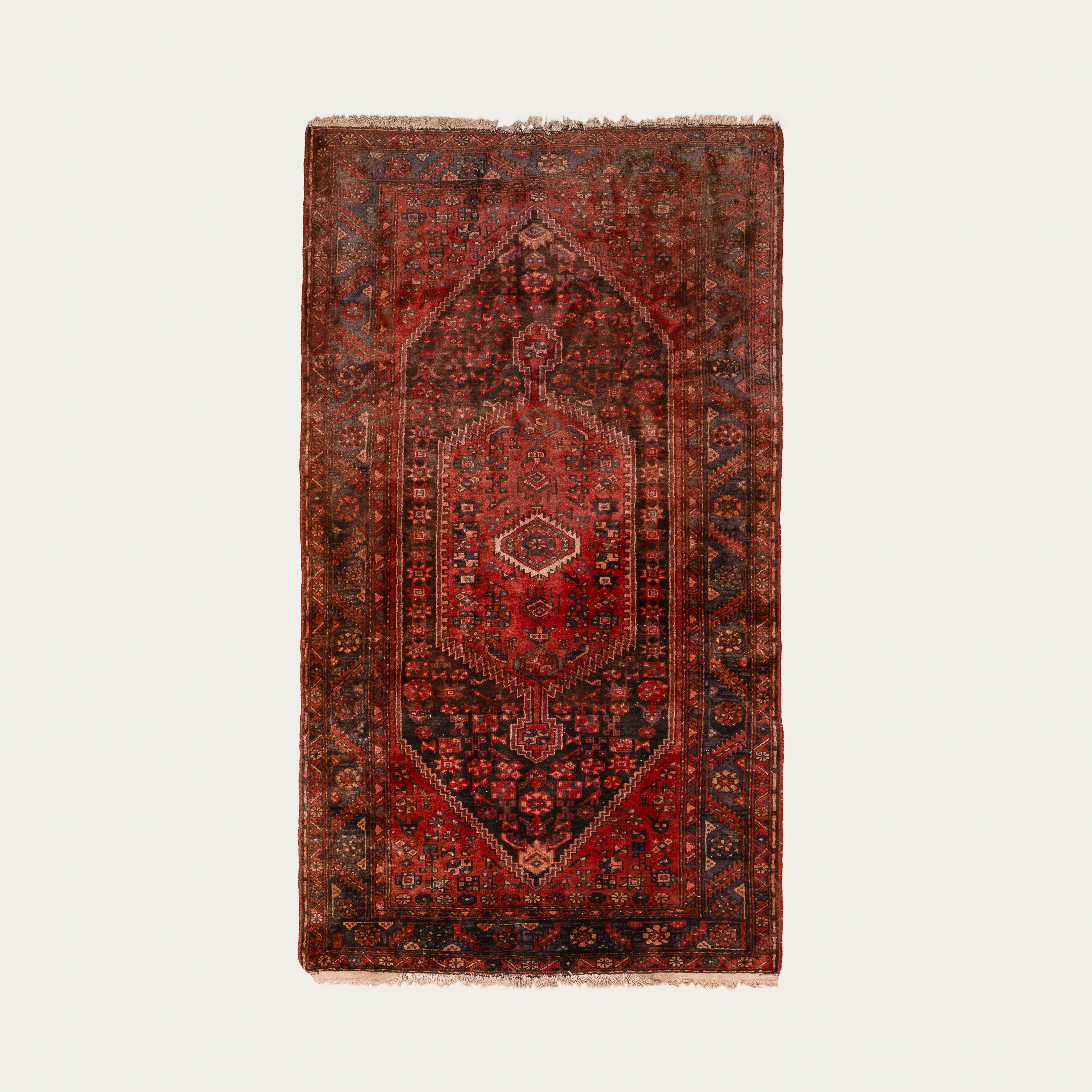 Intricate Dreaming Carpet 8' x 4.5'