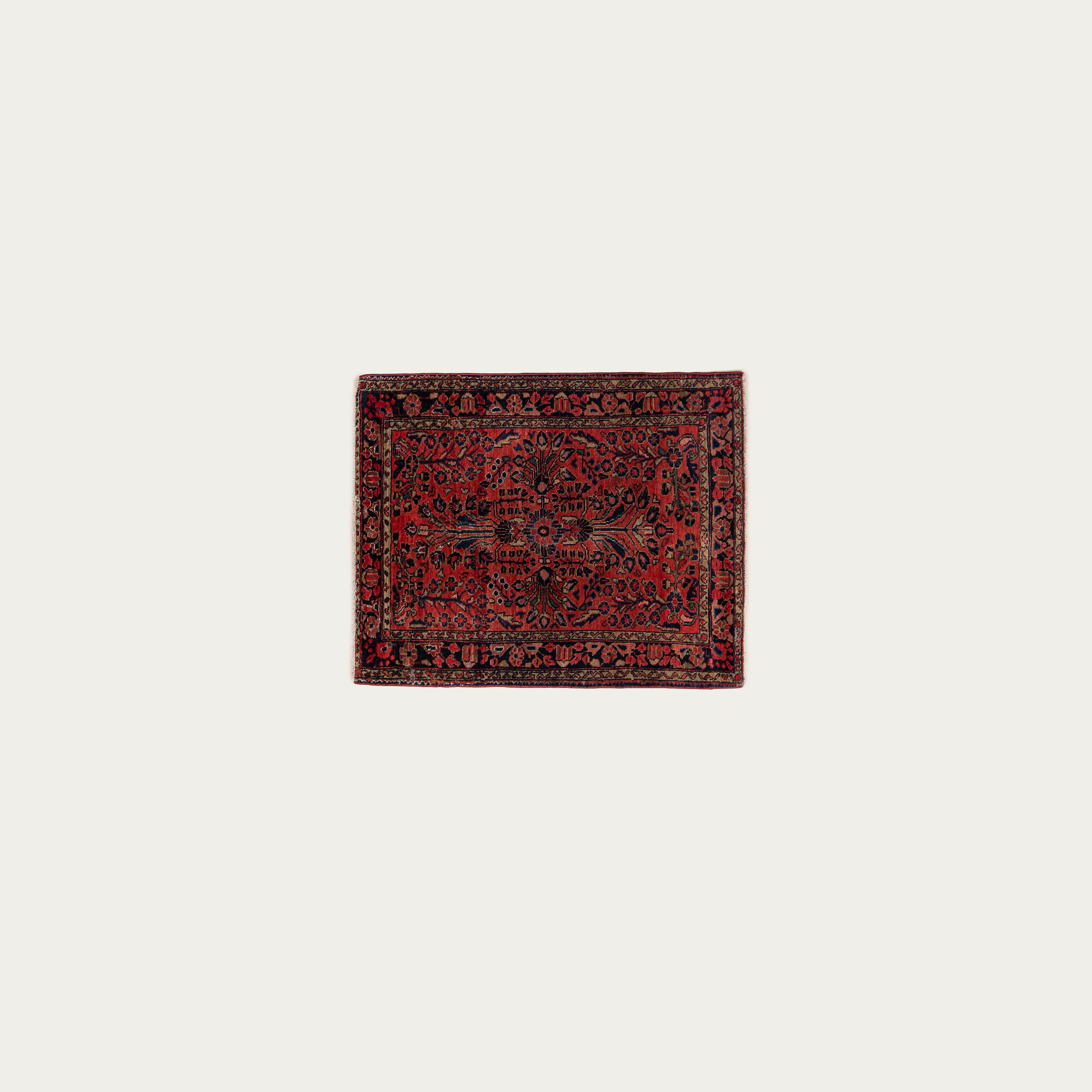 Rose Colored Lenses Carpet ll 2'6" x 2'9"