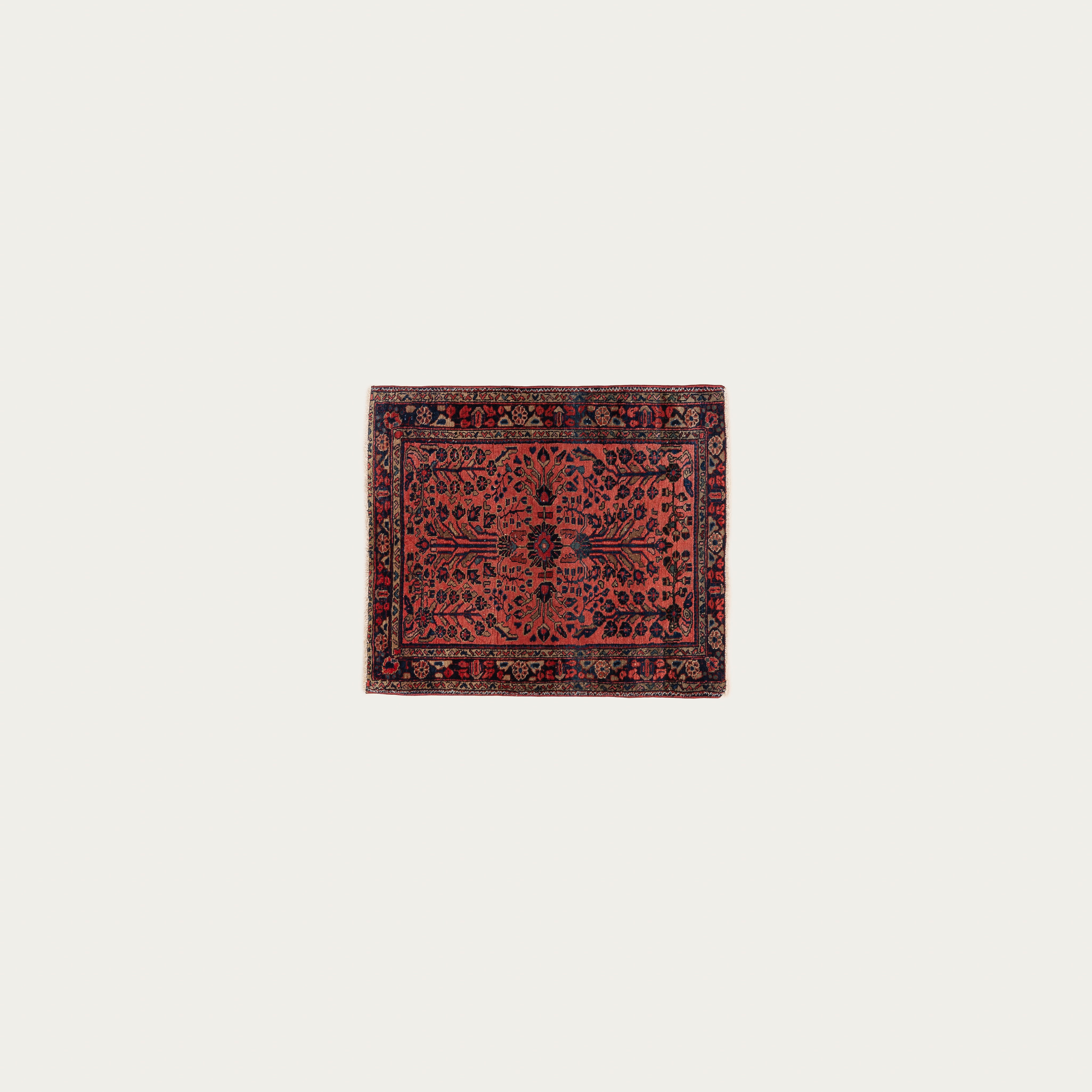 Rose Colored Lenses Carpet l 2'6" x 2'9"