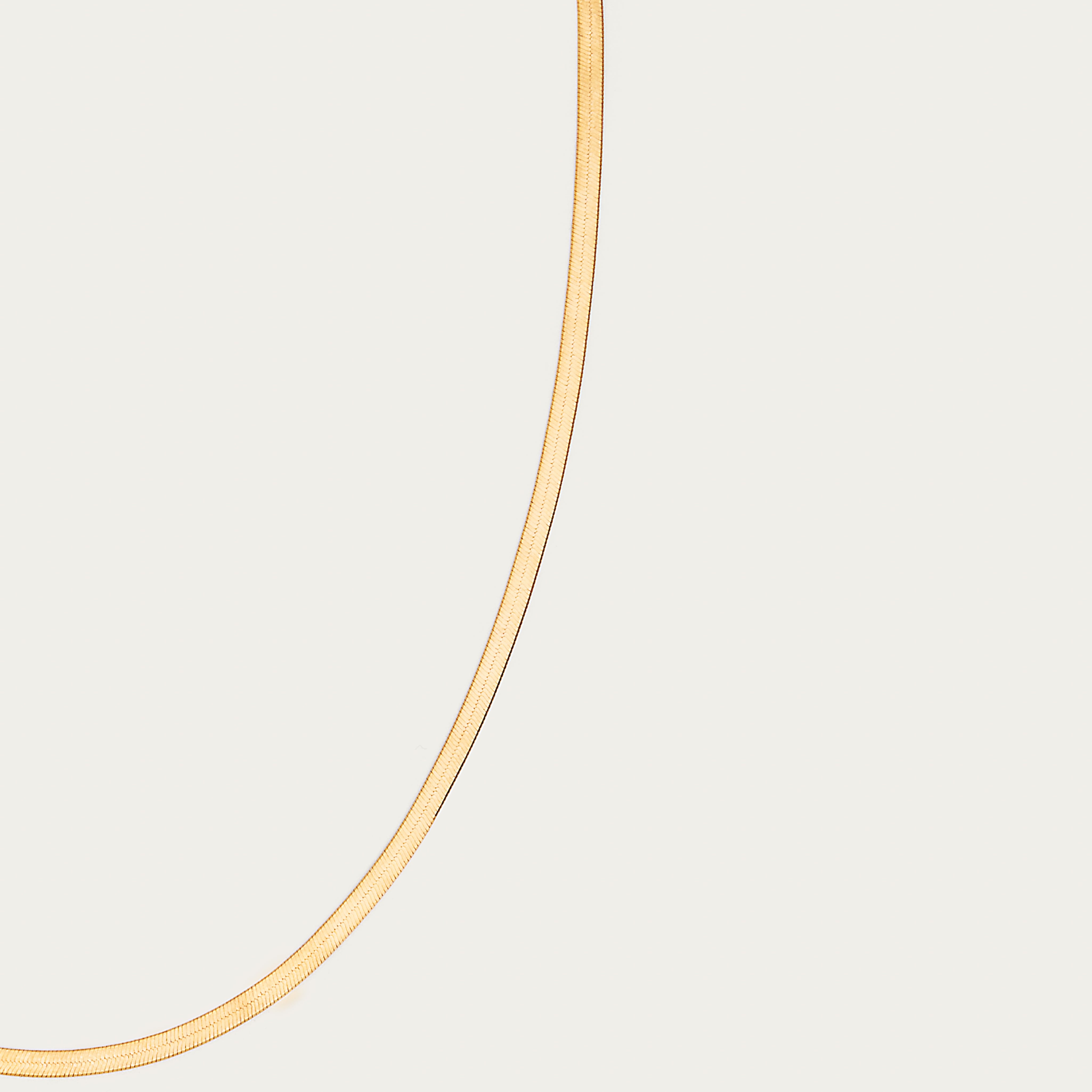 55409623825_1ed8882c96_o.jpg