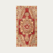 Marry Me Red Carpet 3'8" x 7'3"