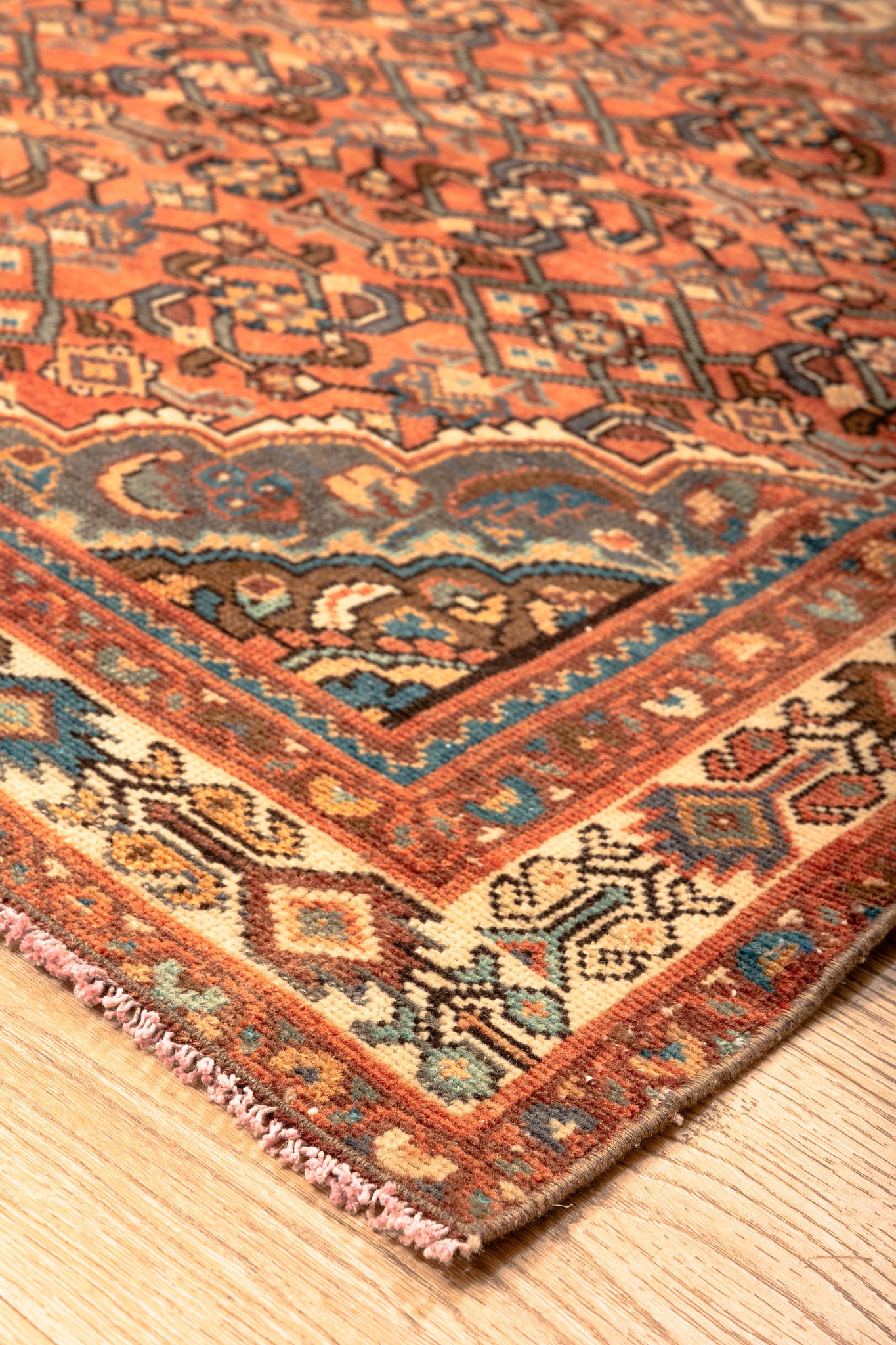 Vivid Dream Carpet 4'2" x 7'5"
