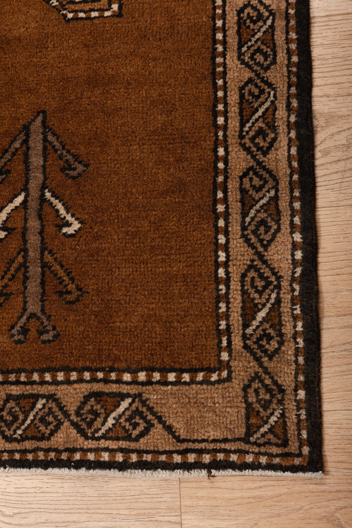 Mud Bath Carpet 4'1" x 6'11"