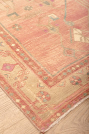 Strawberry Shortcake Runner 4'5" x 10'10"