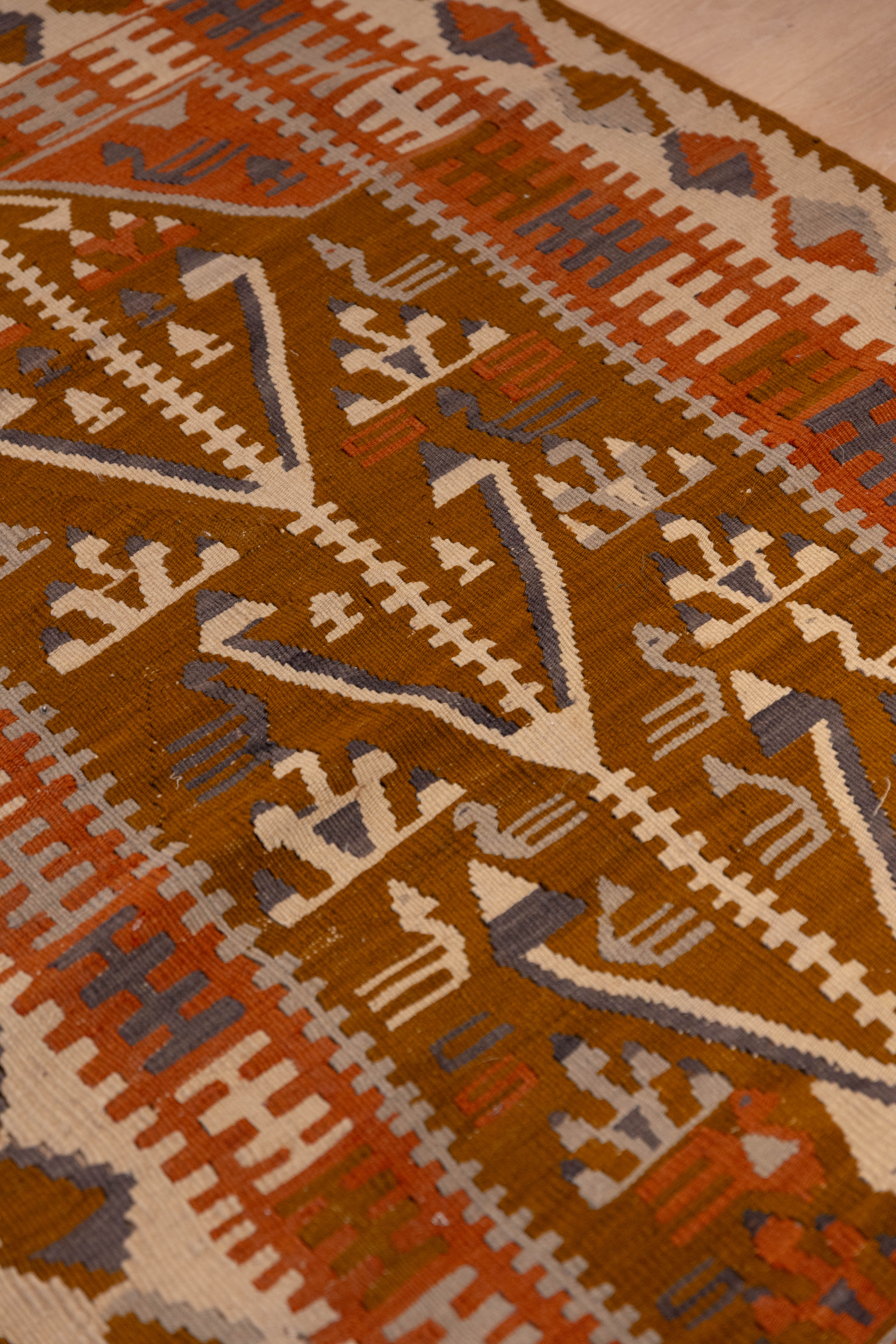 Cocoa Tree Kilim 3'2" x 4'10"
