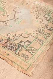 Dwelling Place Runner 9'4" x 3'3"