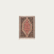 Ember Senneh Kilim 2'5" x  3'3"