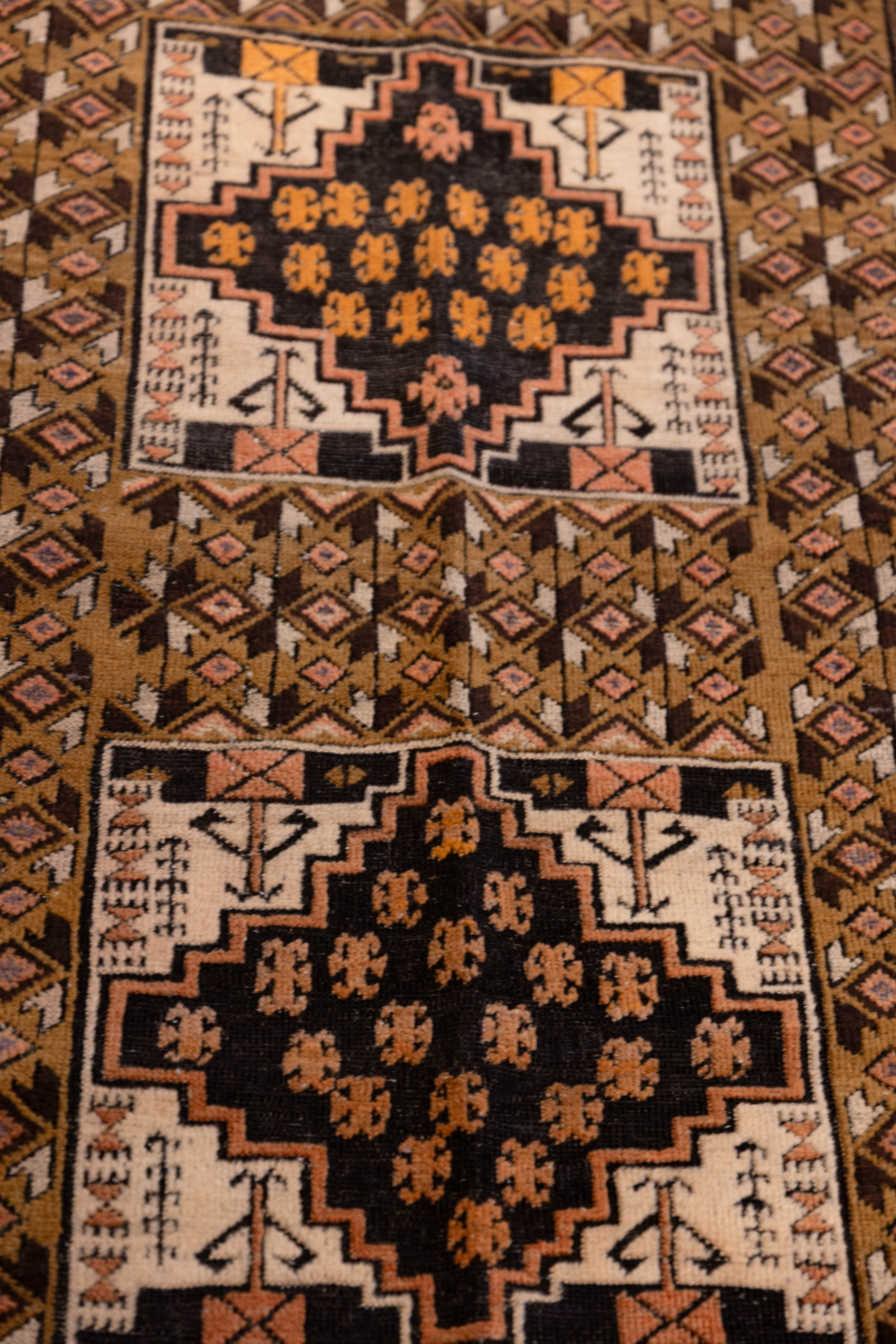 Here Forever Carpet 3'4" x 6'2"