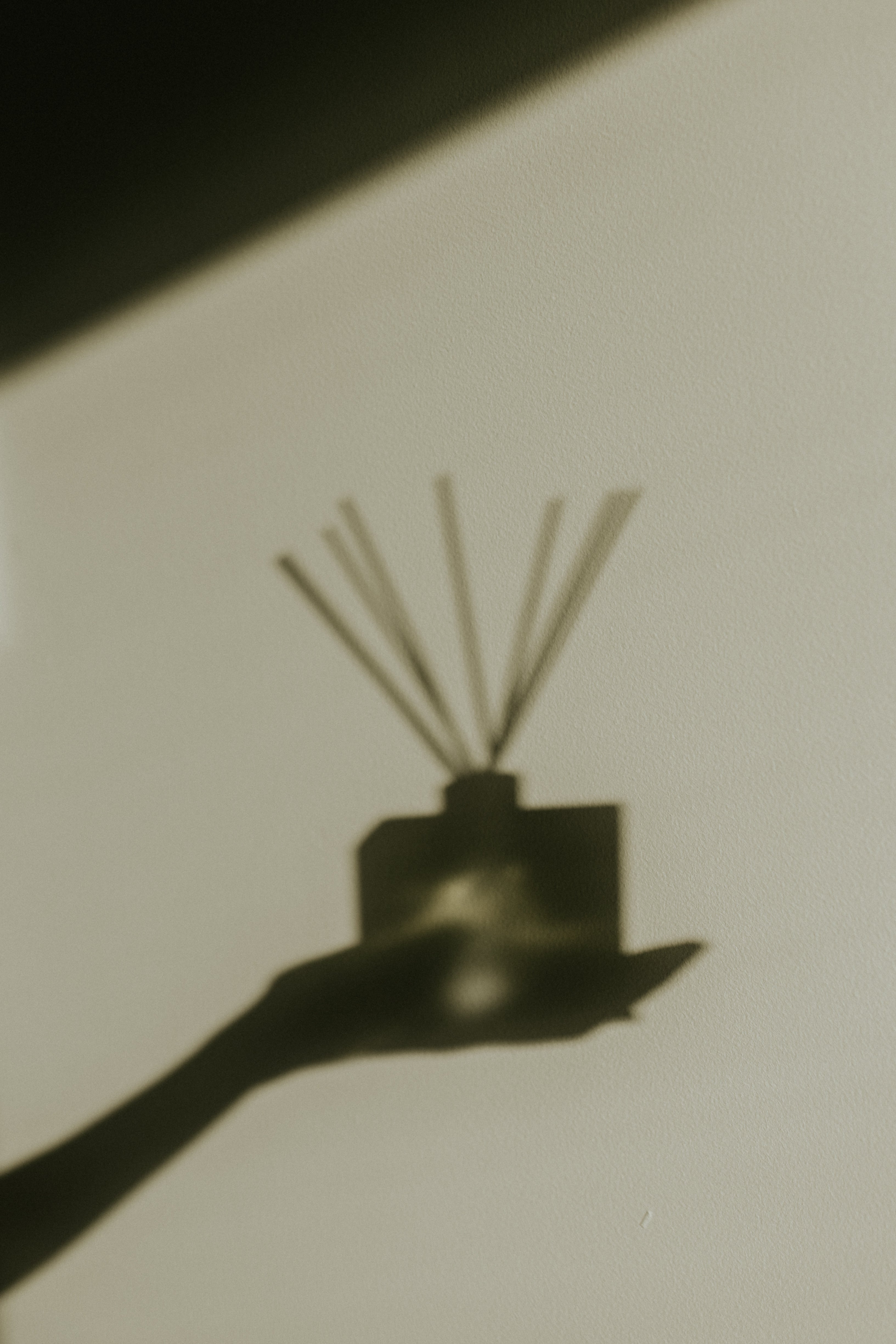 Adorn Diffusers