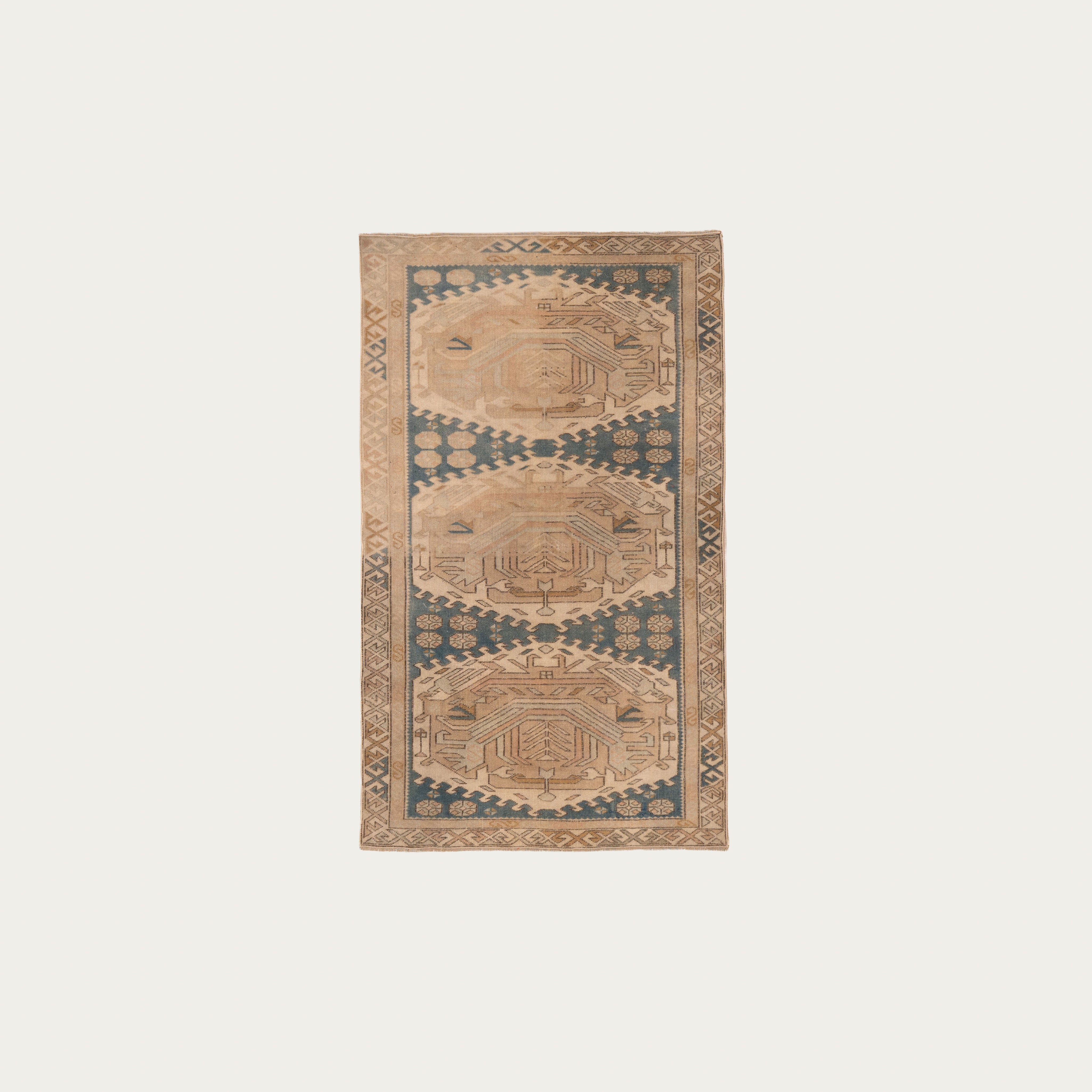 Kangaroo_Pouch_Carpet-Edit.jpg