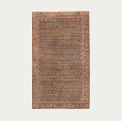 Little Dance Carpet 5'2" x 8'10"