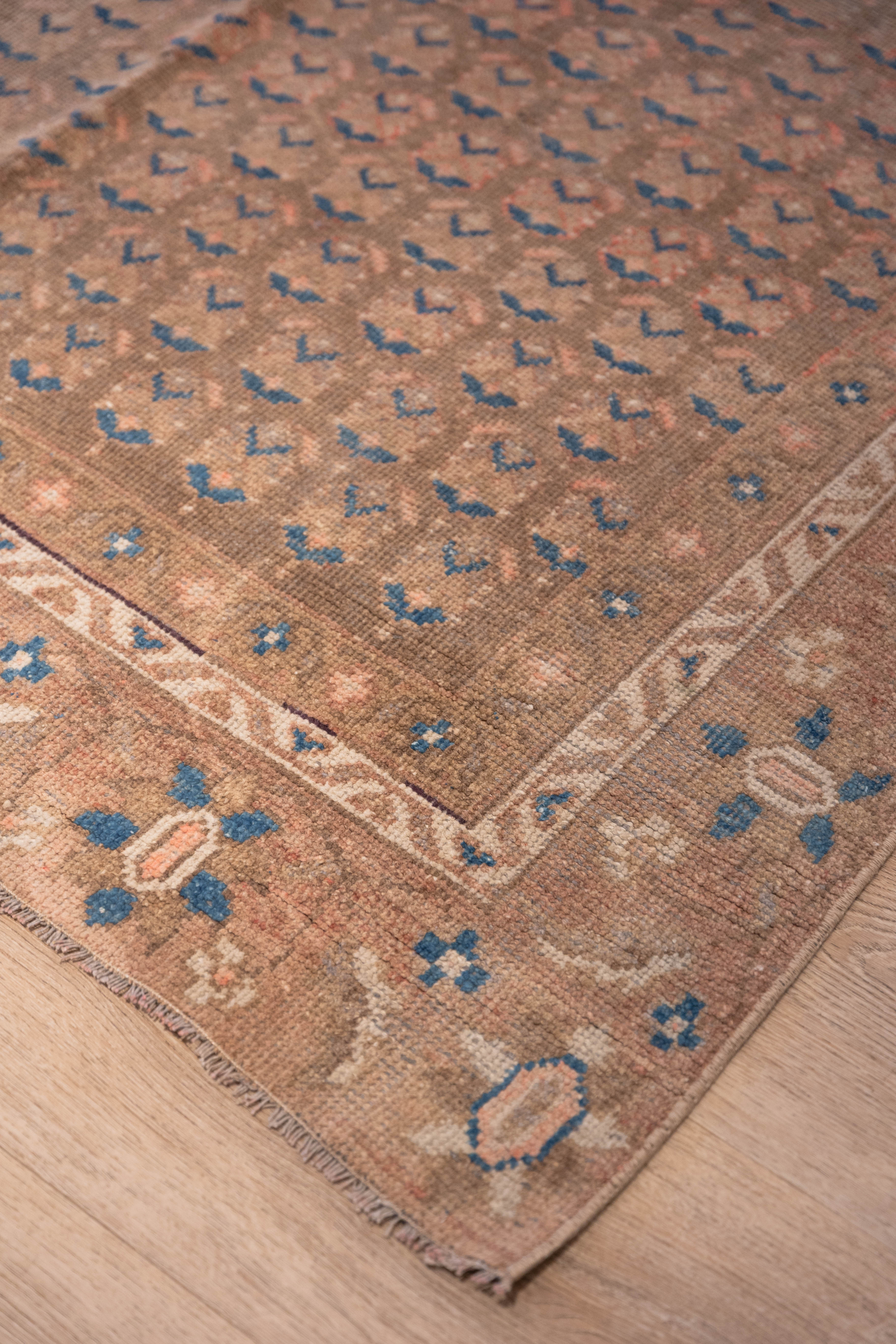 Little Dance Carpet 5'2" x 8'10"