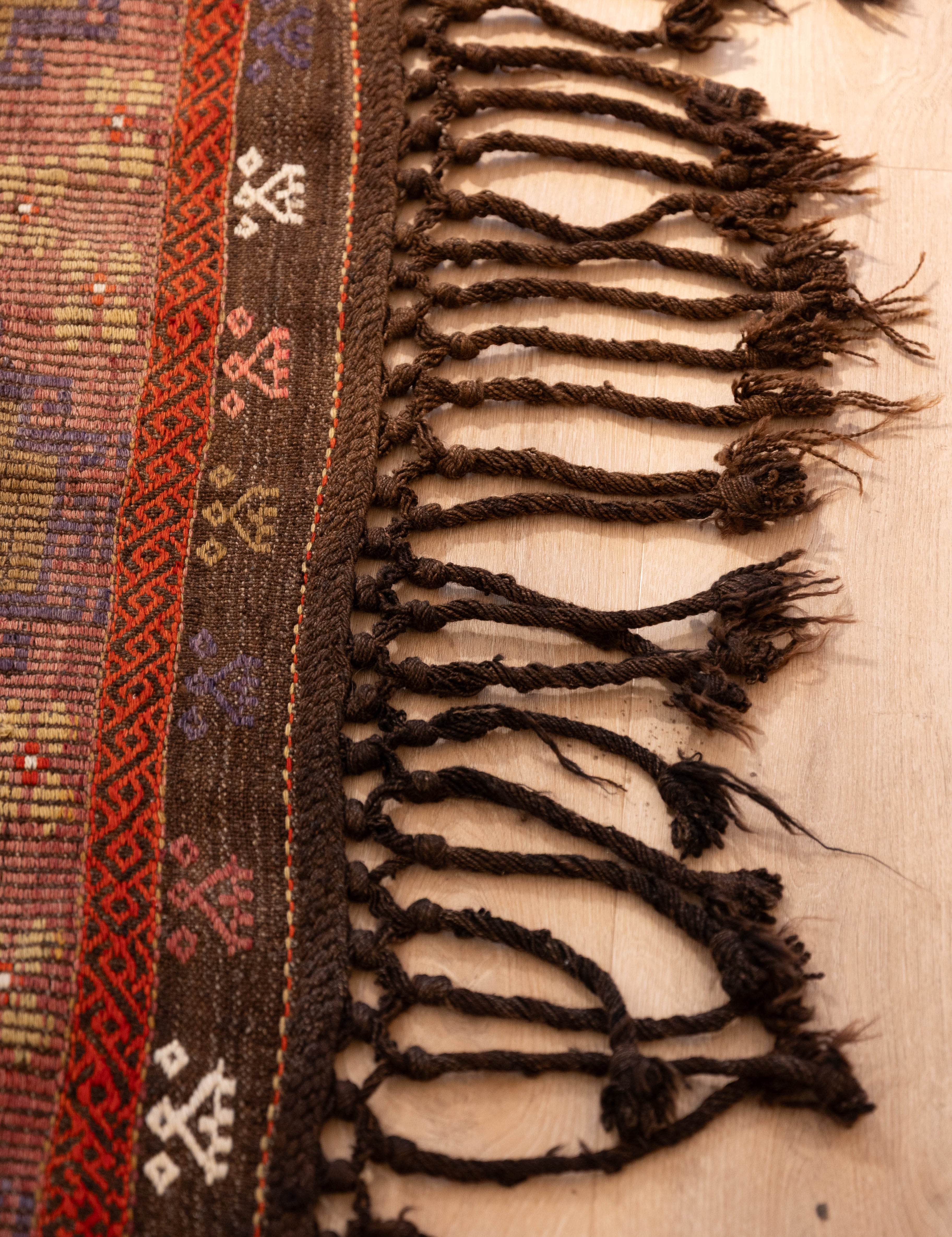 Olive_Cross_Cicum-3.jpg