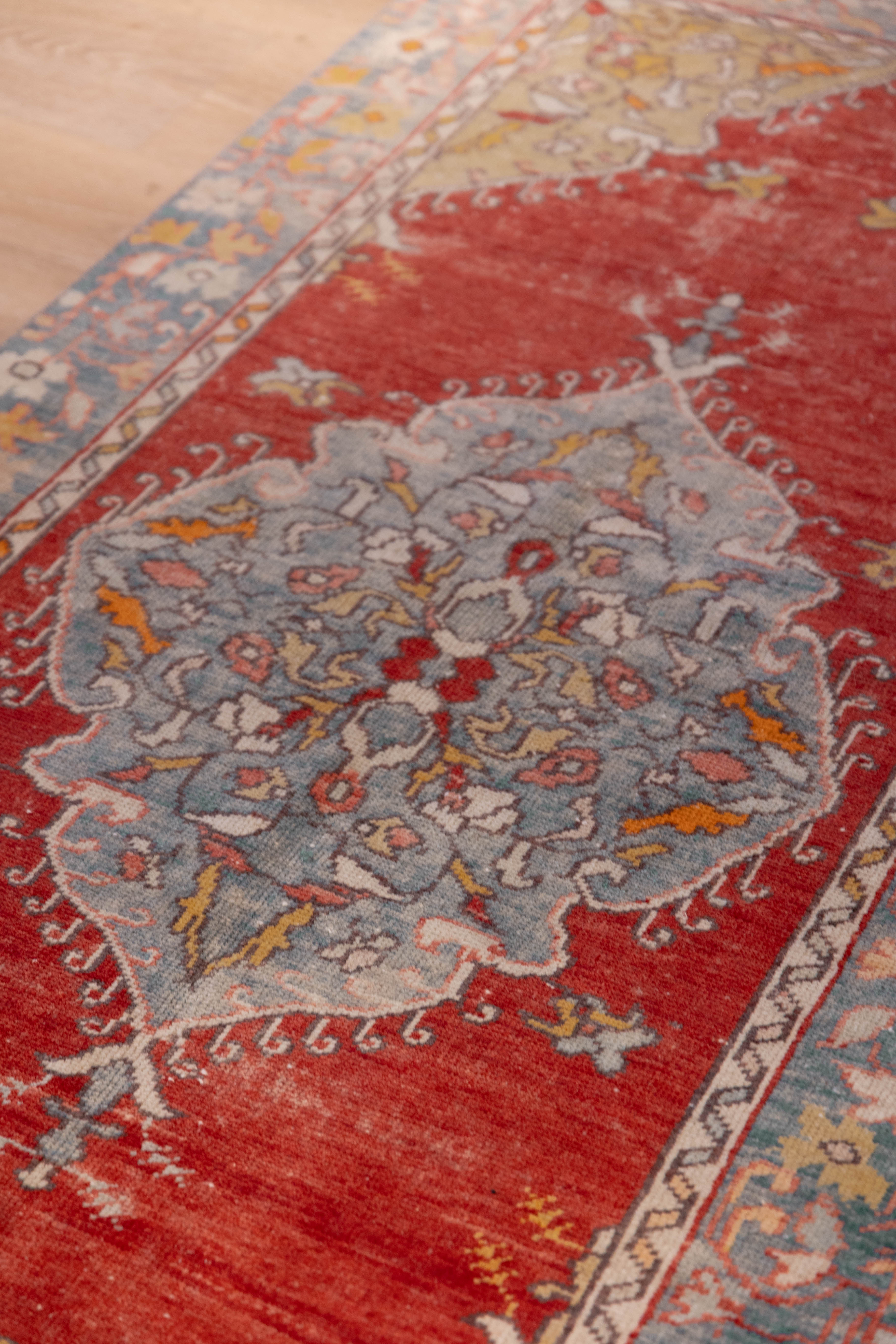 Scarlet Bloom Carpet 3'5" x 6'2"