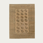 Going Strong Carpet Carpet 8'5" x 11'5"