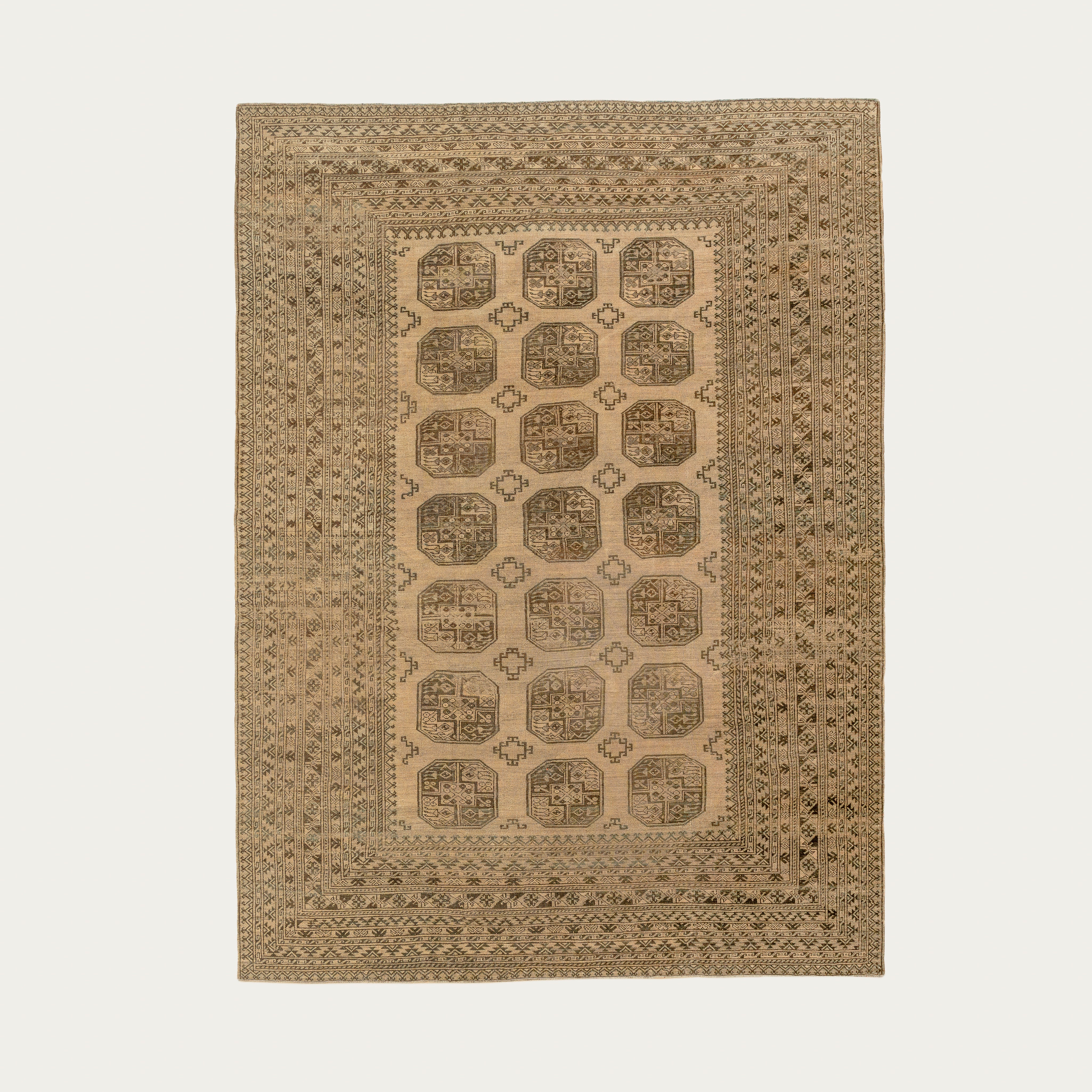 Going Strong Carpet Carpet 8'5" x 11'5"