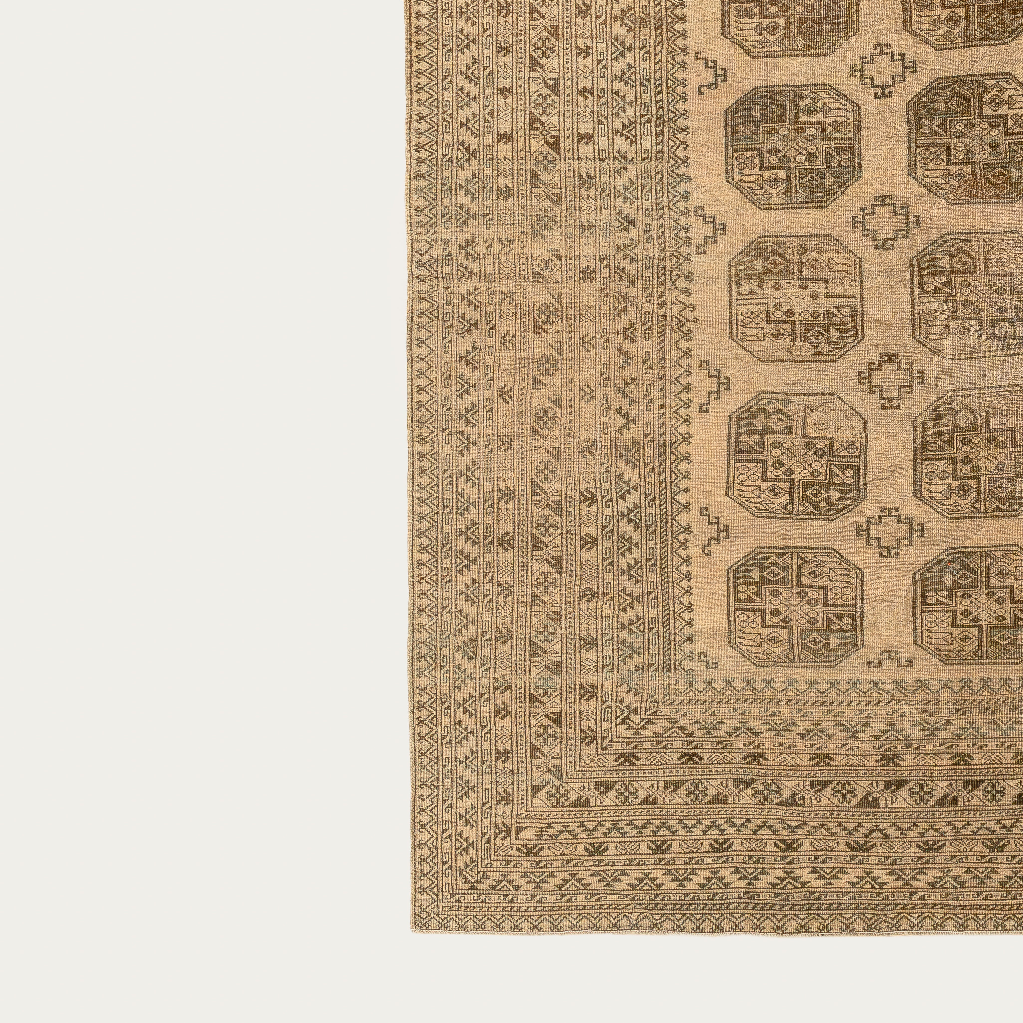 Going Strong Carpet Carpet 8'5" x 11'5"