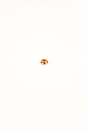 Faye Ruby Slider Charm