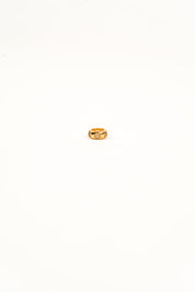 Faye Citrine Slider Charm