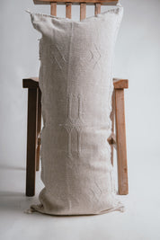 Cactus Silk Pillow - Turquoise & Cream