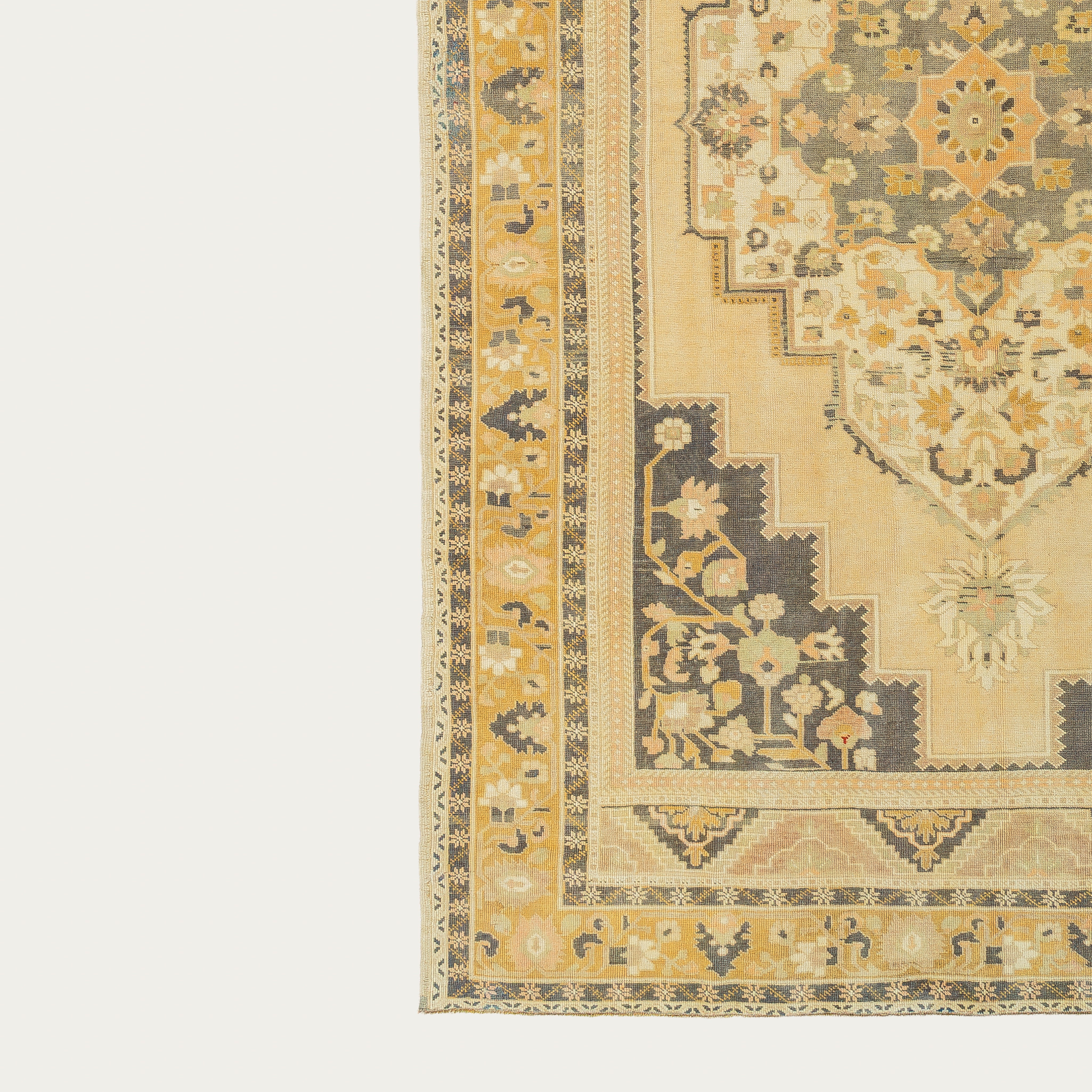 Dine With Me Carpet 6'10" x 11'2"