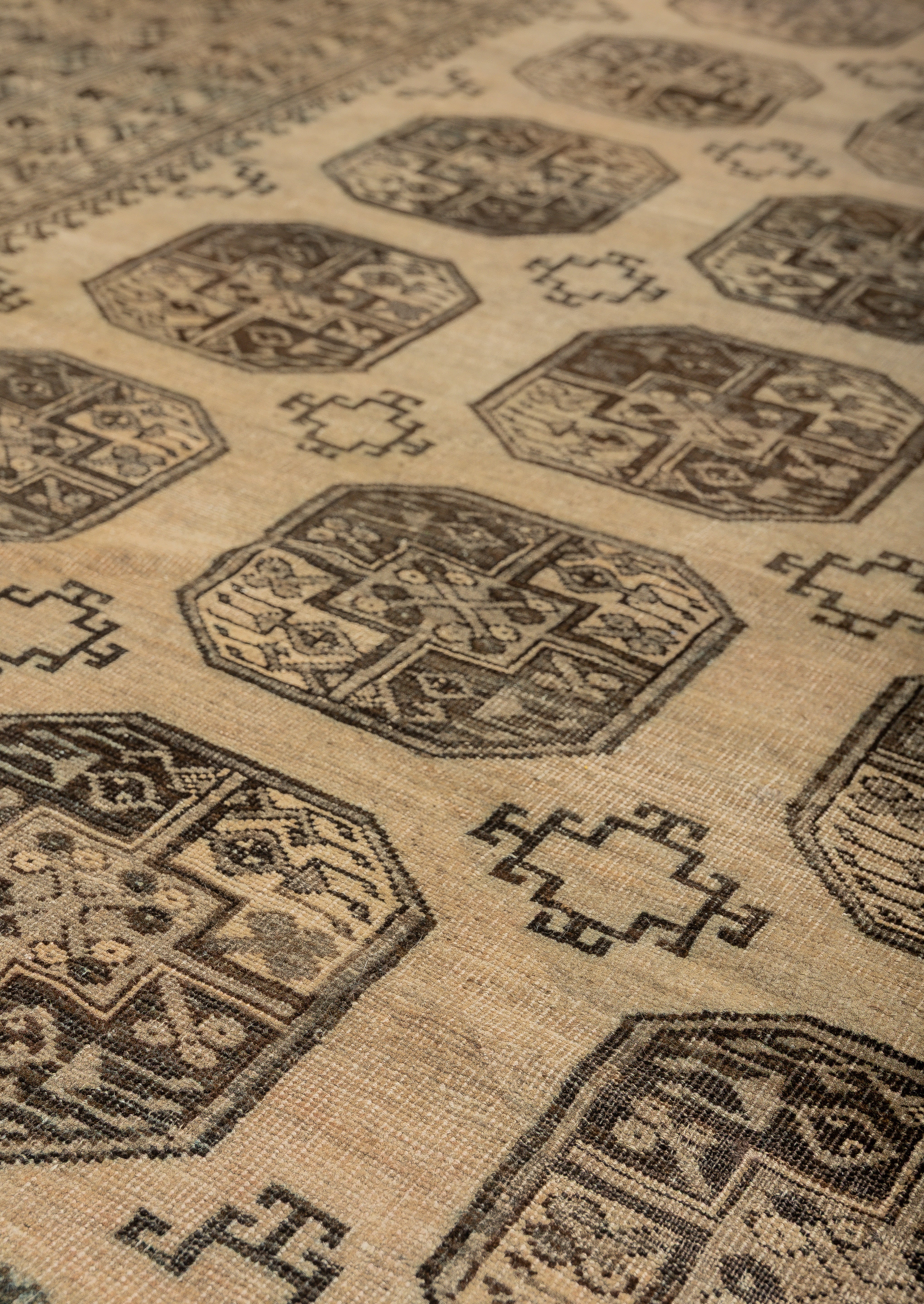 Going Strong Carpet Carpet 8'5" x 11'5"