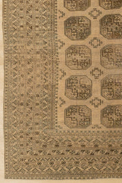 Going Strong Carpet Carpet 8'5" x 11'5"