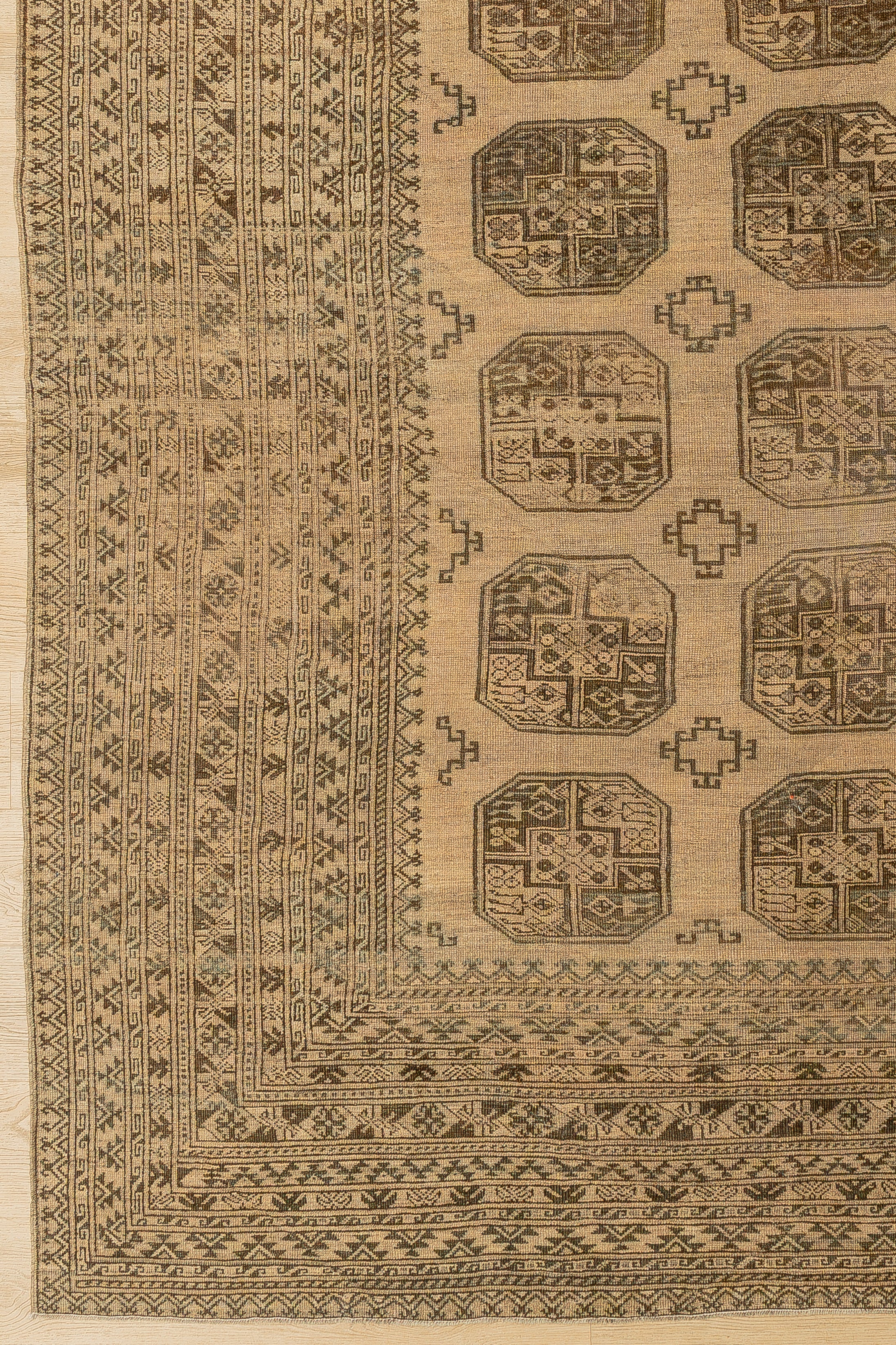 Going Strong Carpet Carpet 8'5" x 11'5"