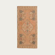Go For It Carpet 1'8" x 3'5"