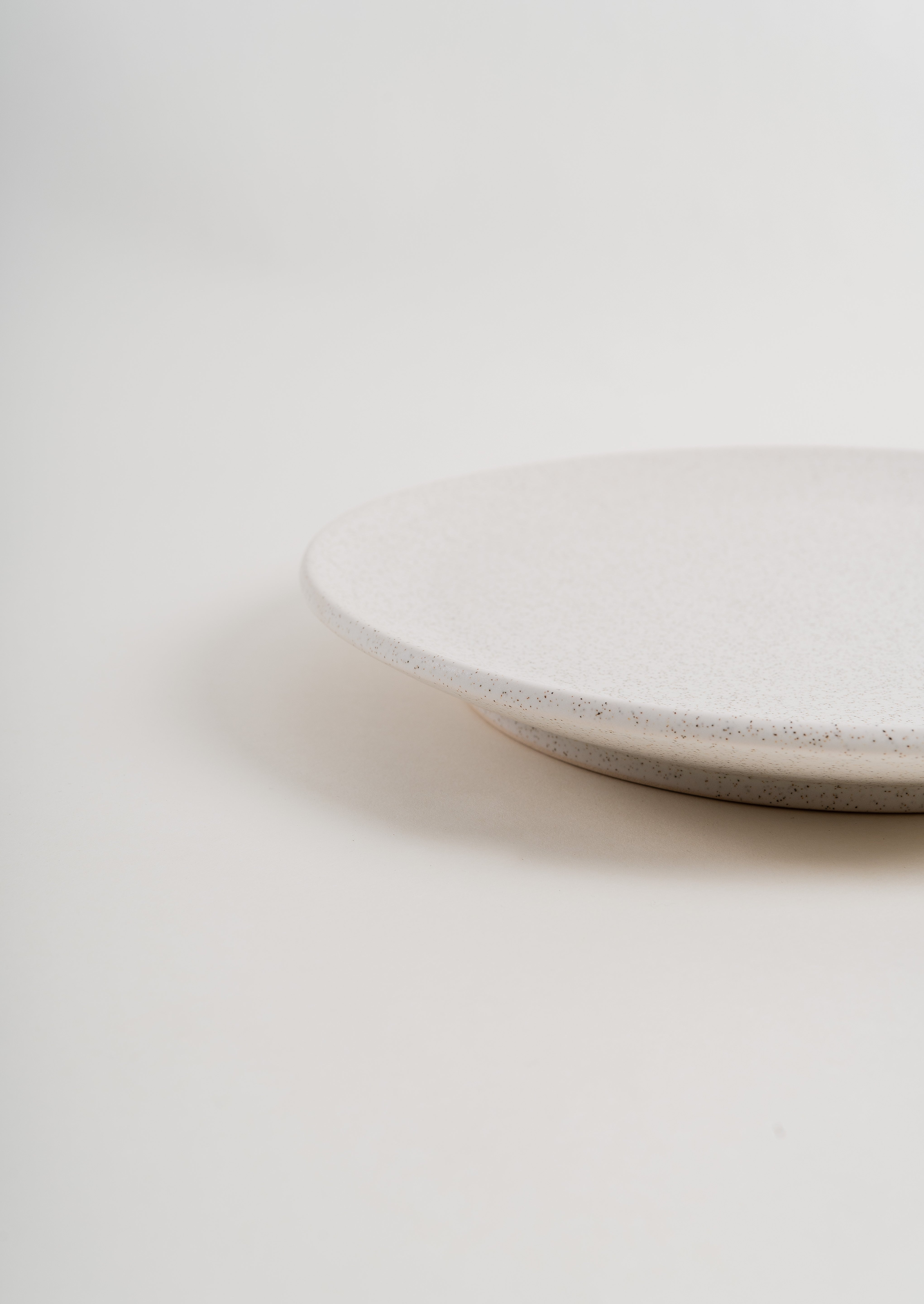 Speckled Dinner Plate