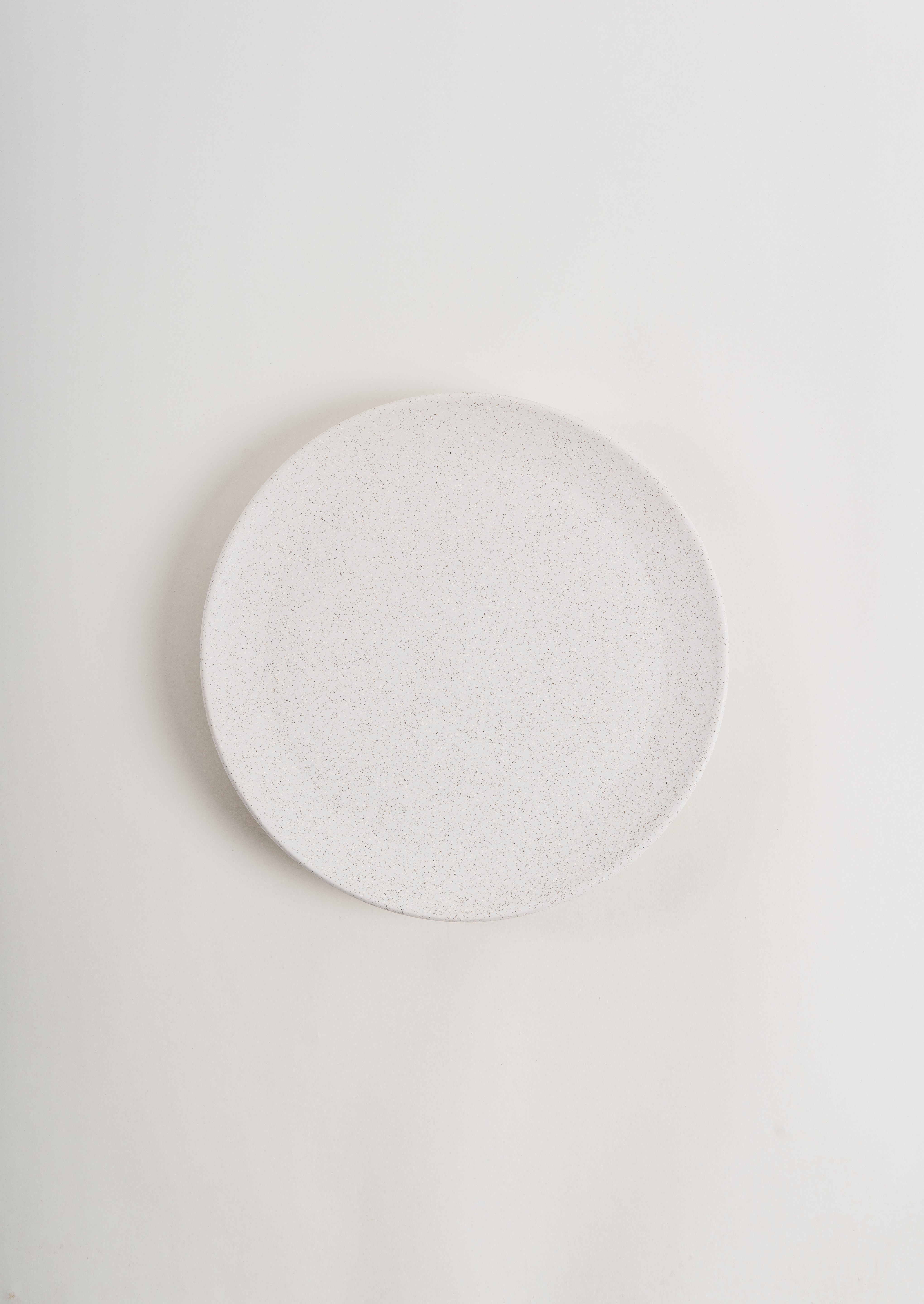 Speckled Dinner Plate