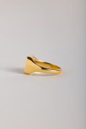 Giddy Up Signet Ring