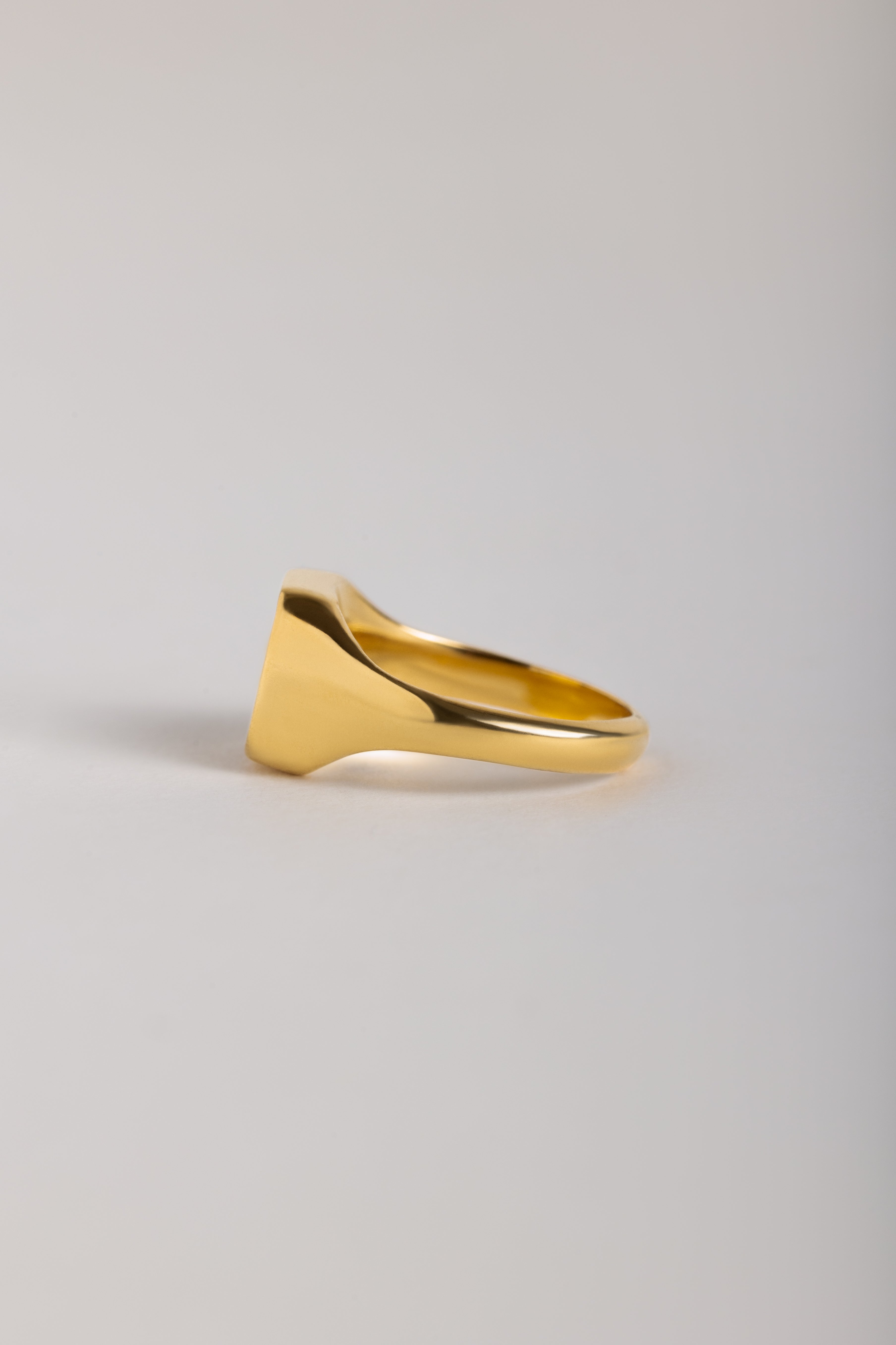 Giddy Up Signet Ring
