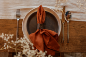 Terracotta Linen Napkin